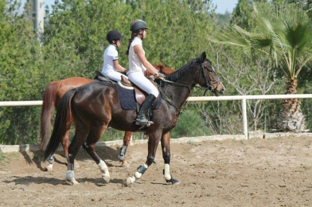  Campo equestre 